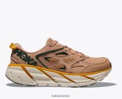 clifton l nakış Hoka kadınlar 0ZZR8B203 sirocco/dağ manzarası