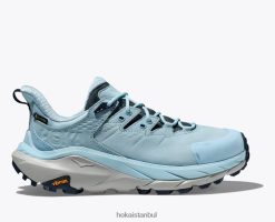 kaha 2 düşük gtx Hoka kadınlar 0ZZR8B188 yaz şarkısı/liman sisi